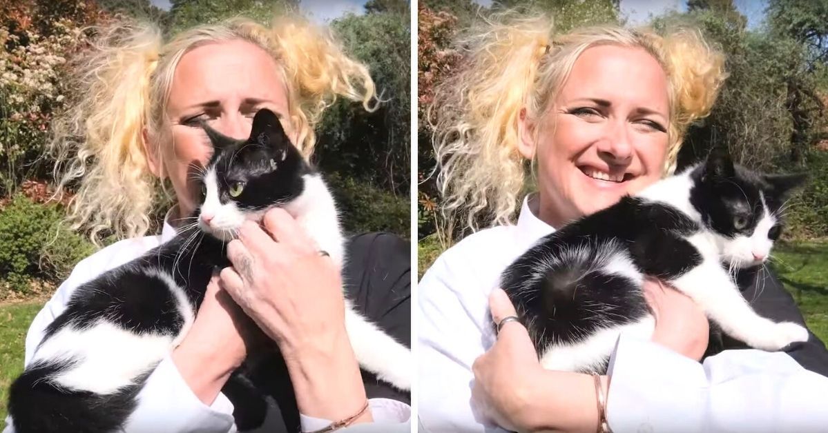Kobieta wzięła ze swoją kotką ślub cywilny, aby obejść zakaz trzymania zwierząt w domu