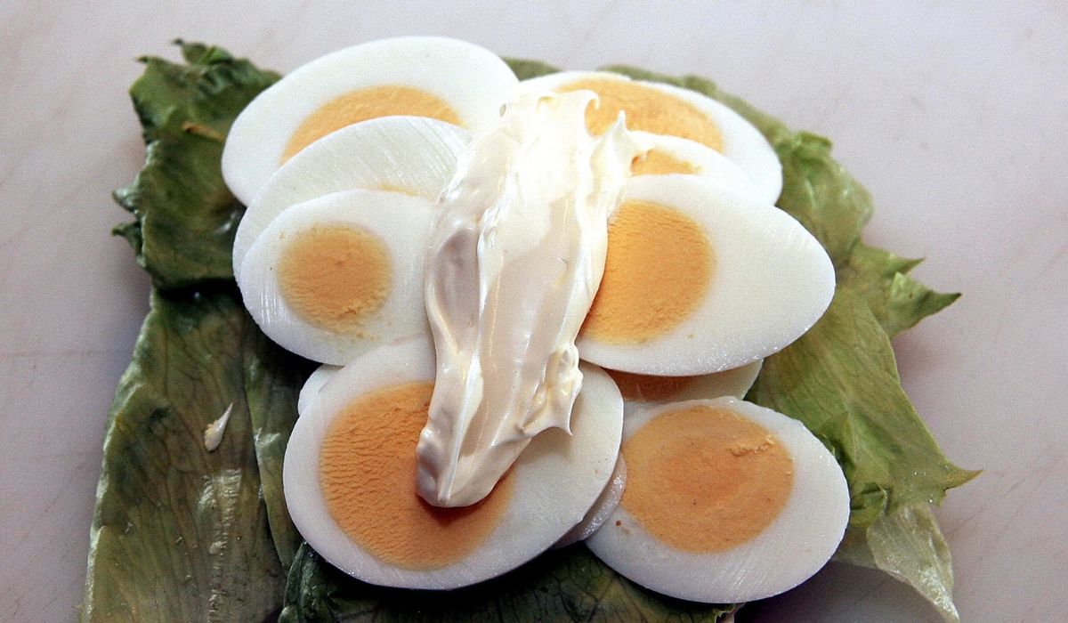 Welchen Mayonnaise sollte man wählen? Die Sache ist nicht so einfach, Fot. Pixabay