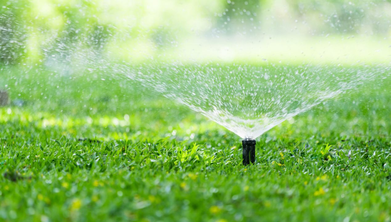 Ile wody potrzebuje trawnik? Trik, dzięki któremu zaoszczędzisz na rachunkach