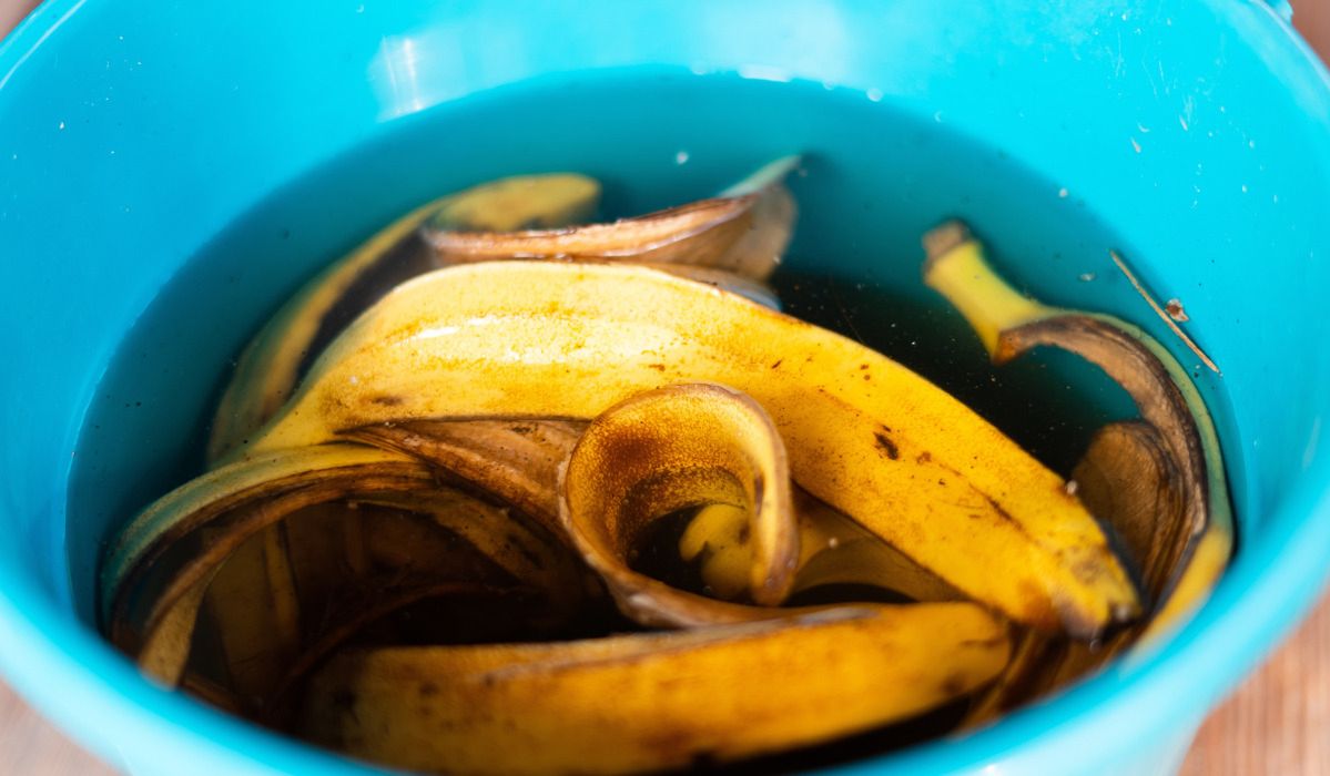 Herbatka z bananów - Pyszności; foto: Adobe Stock