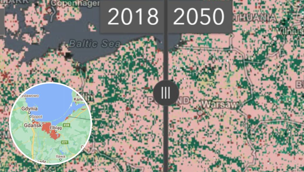 Polska w 2050, fot. Esri Land Cover/arcgis / coastal.climatecentral.org