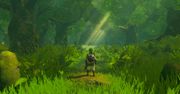 Pograłbym w TAK wyglądające Breath Of The Wild. Na emulatorze na PC