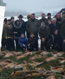 209 martwych lisów. Myśliwi pochwalili się pokotem, w sieci zawrzało