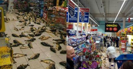 Żywe karpie na podłodze sklepu. Zdjęcie z Tesco wywołało lawinę oburzenia