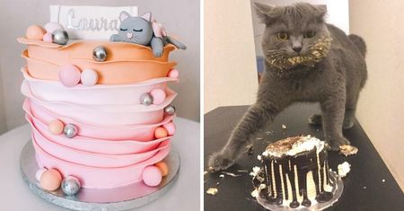 17 urodzinowych tortów, które oczarują każdego fana kotów