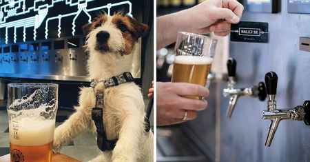 W tym sklepie z piwem poczujesz się jak prawdziwy barman! Samoobsługowy punkt robi furorę