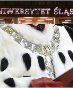 Seksizm i molestowanie - profesor wpadł przez anonimowe ankiety studentek