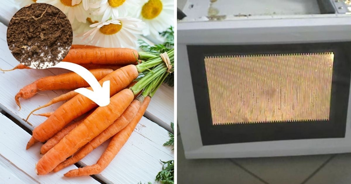 8 produktów, których nigdy nie powinieneś podgrzewać w mikrofali. Skutki mogą być opłakane!