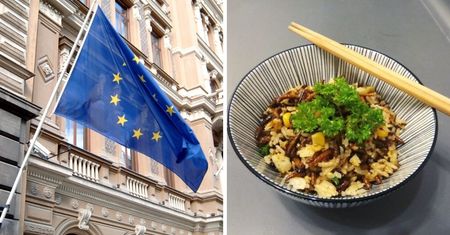 Unia Europejska wydała pozytywną opinię. Do sprzedaży wkrótce mogą trafić larwy mącznika