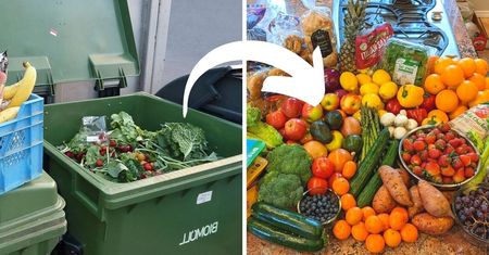 Freeganizm coraz popularniejszy. "Grzebanie w śmieciach" pozwala zaoszczędzić sporo pieniędzy!