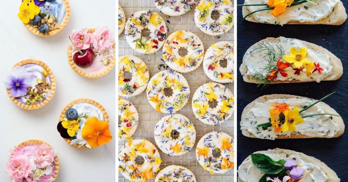 Jadalne kwiaty podbijają internet. Piękną dekorację możesz wyhodować w swoim domu