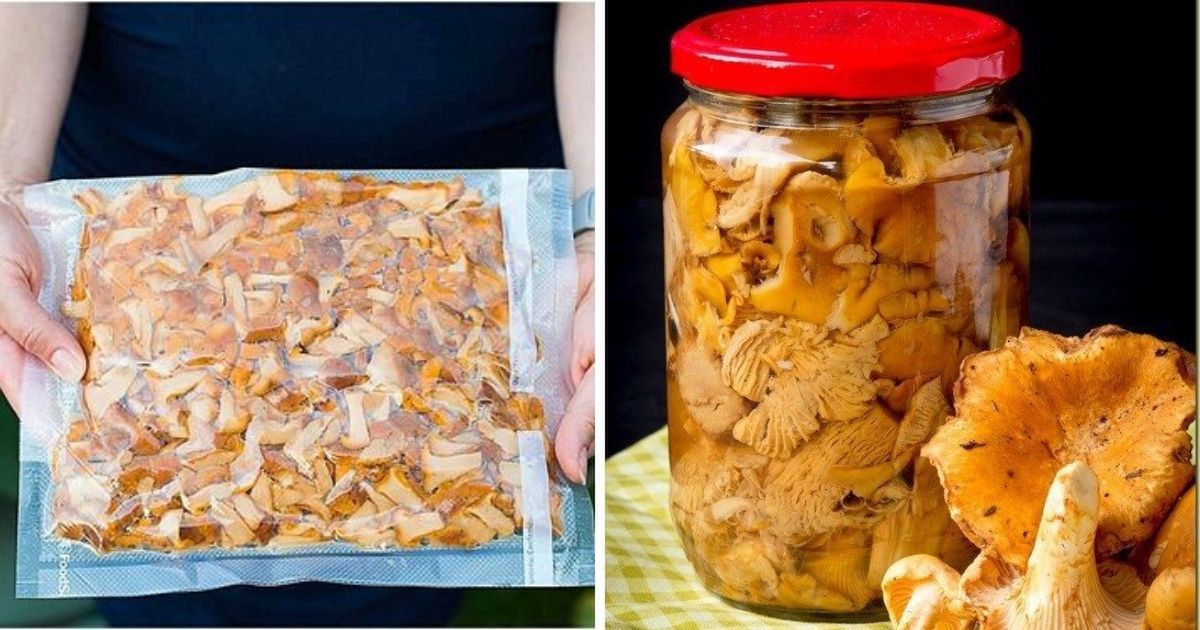 Jak przygotować, mrozić i marynować kurki, żeby nie były gorzkie?