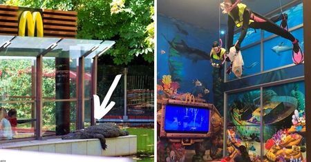 16 najciekawszych restauracji McDonald. Zdecydowanie odbiegają od standardu!