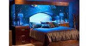 Aquarium Bed - łóżko z akwarium