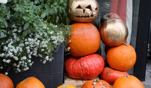 Halloween 2019. Kostium na imprezę halloweenową w Warszawie? Sprawdź, gdzie go wypożyczyć