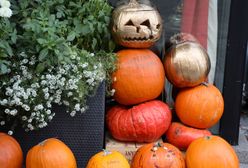 Halloween 2019. Kostium na imprezę halloweenową w Warszawie? Sprawdź, gdzie go wypożyczyć