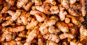 Kurkuma. Naturalne lekarstwo na raka i inne choroby cywilizacyjne