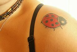 Biedronka na ramieniu