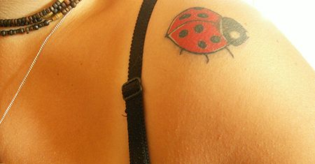 Biedronka na ramieniu i inne tatuaże Internautów
