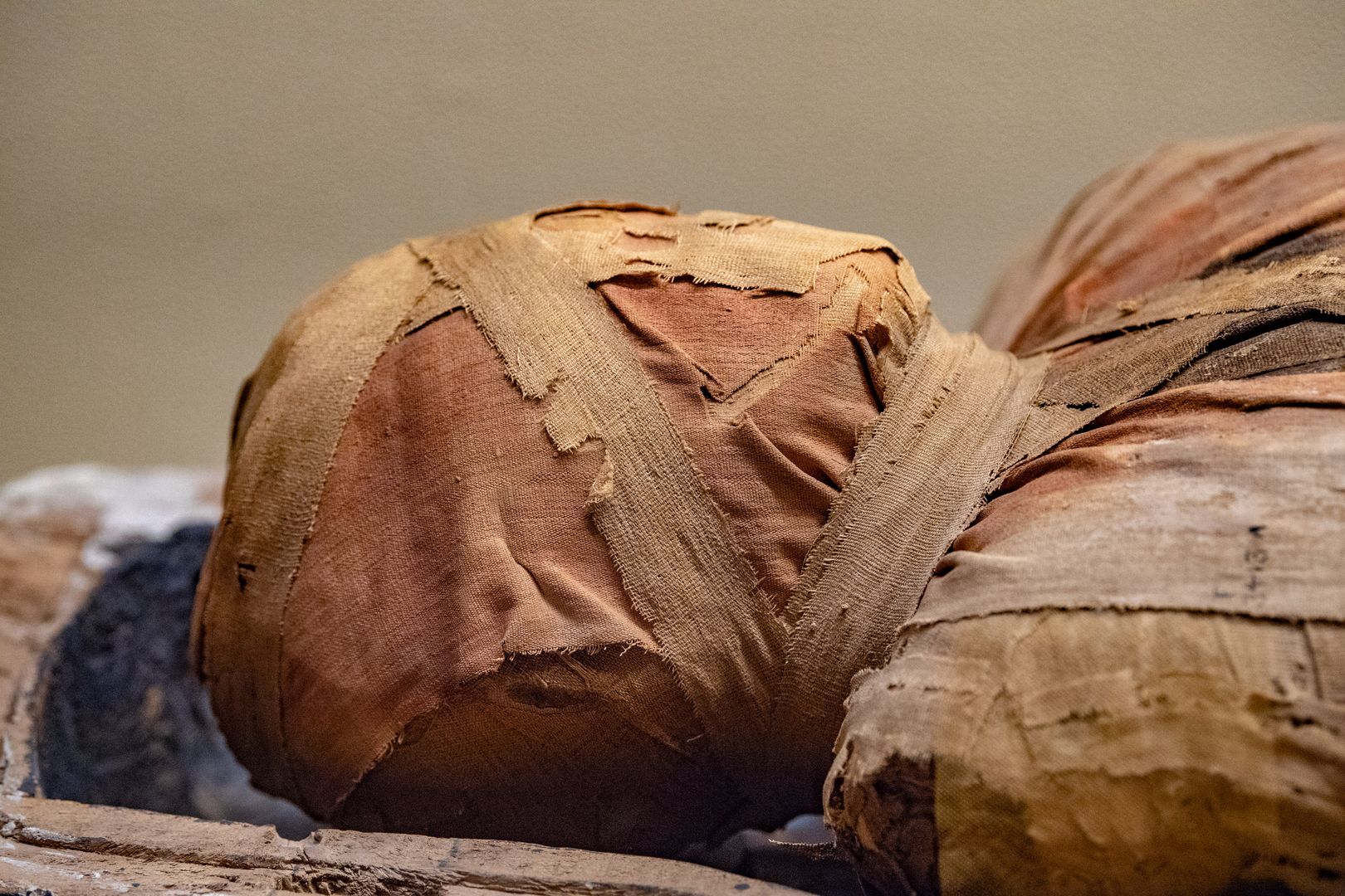 Wyniki badań były zaskakujące. Starożytne mumie odkryły tajemnice
