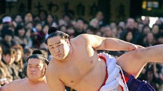 Sumo