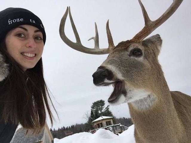 My śmiejemy się z Rosji, a Amerykanie...
