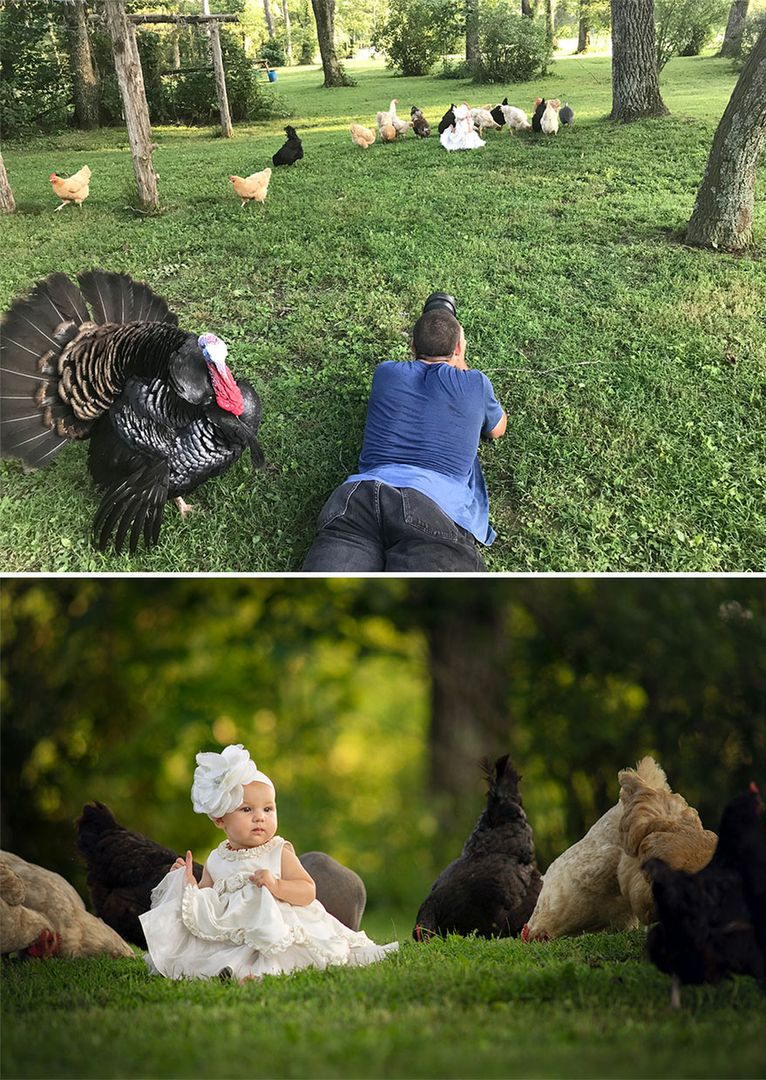 W parku ze zwierzętami