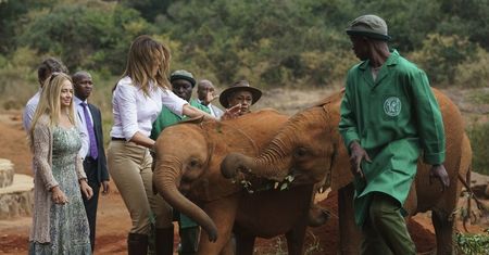 Melania Trump zaatakowana przez rozbawionego słonika