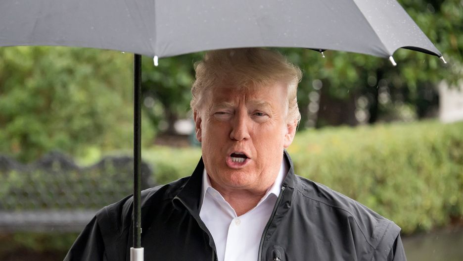 Donald Trump bliźniakiem Elvisa Presleya. Internauci oburzeni