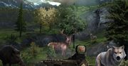 Jak polują myśliwi? Przekonaj się dzięki darmowej grze "Let's Hunt"