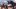 Capcom woli DLC od tradycyjnej, "rozszerzonej" edycji Monster Hunter World