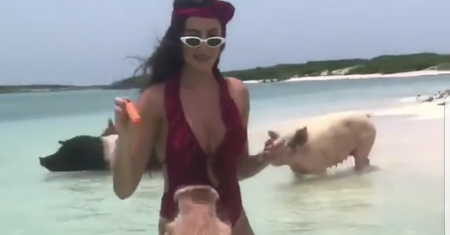 Dziewczyna Krychowiaka karmi świnie nad morzem. Jej mina bezcenna