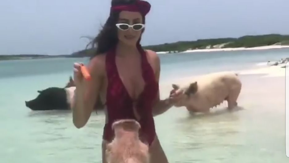 Celia Jaunat karmi świnie w bikini