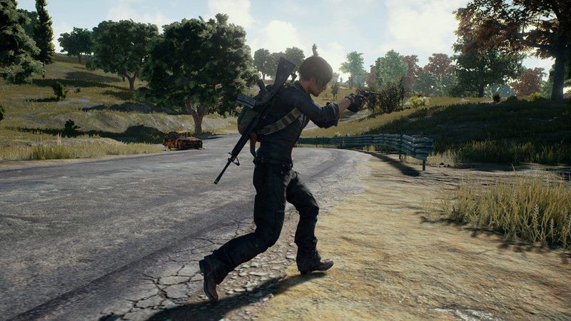 Jeżeli nie rusza Was kolejny rekord PlayerUnknown's Battleground, to Greene rozważa... tryb jednoosobowy