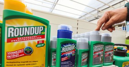 Roundup nie będzie zakazany w Polsce. Występuje w 83 preparatach