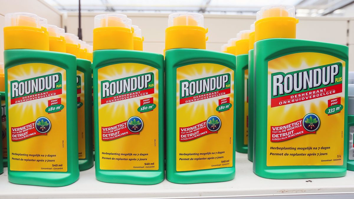 Roundup przyczynił się do rozwoju raka u 70-letniego Amerykanina - zdecydował sąd w San Francisco.