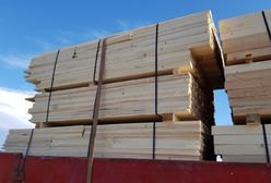 15 ton drewna i dwa pasy. Inspektorzy dawno czegoś takiego nie widzieli