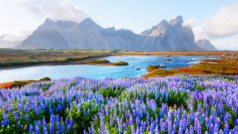 Islandia w ostatnim czasie staje się coraz bardziej popularnym kierunkiem turystycznym