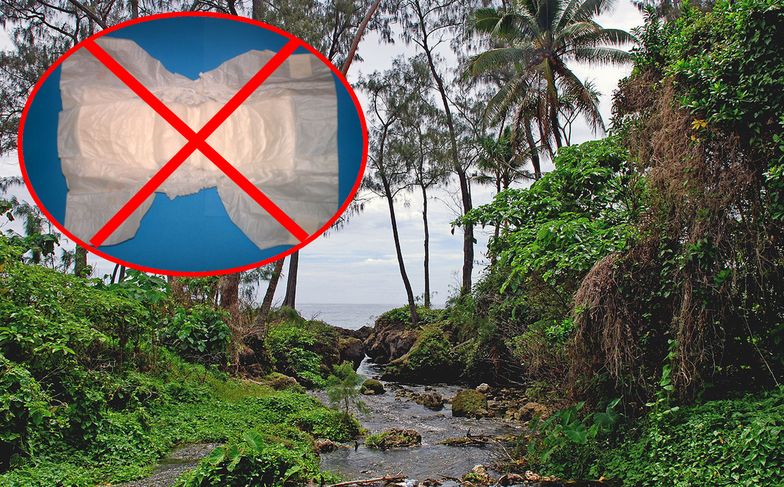 Republika Vanuatu jako pierwszy kraj na świecie wprowadziła całkowity zakaz używania pieluszek jednorazowych.