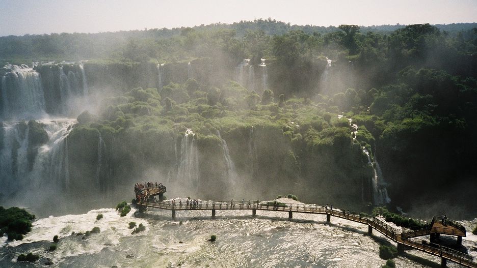 Wodospady Iguazu to także okazja do zobaczenia tukanów i krokodyli w ich naturalnym środowisku