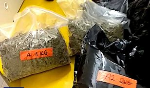 Marihuana zamiast pieczarek. Znalezisko na Dolnym Śląsku