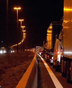 Francja: Celnicy przejęli pół tony marihuany. Wśród zatrzymanych znajduje się Polak