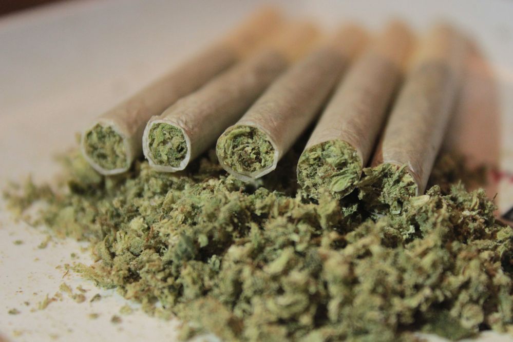 Legalizacja marihuany na wyspie Jersey. Ma przyciągnąć turystów