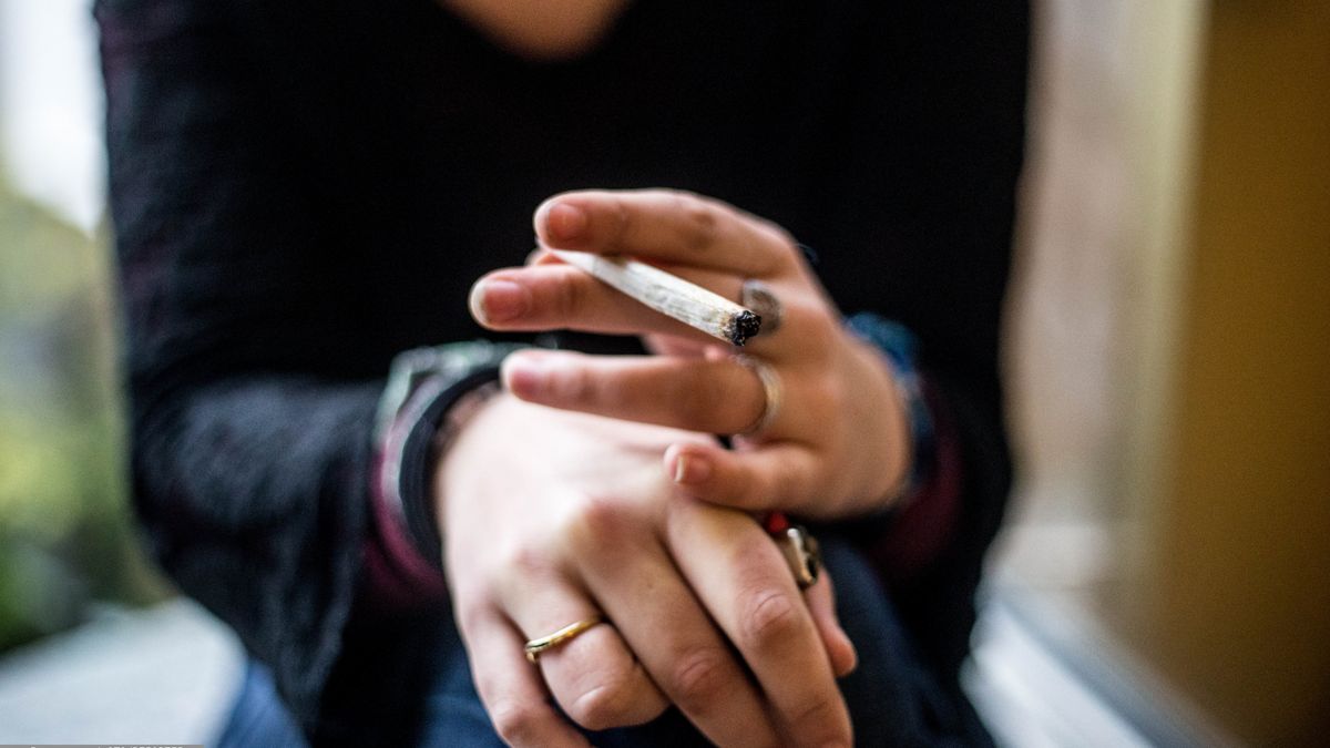 Lewica i Konfederacja za legalizacją marihuany