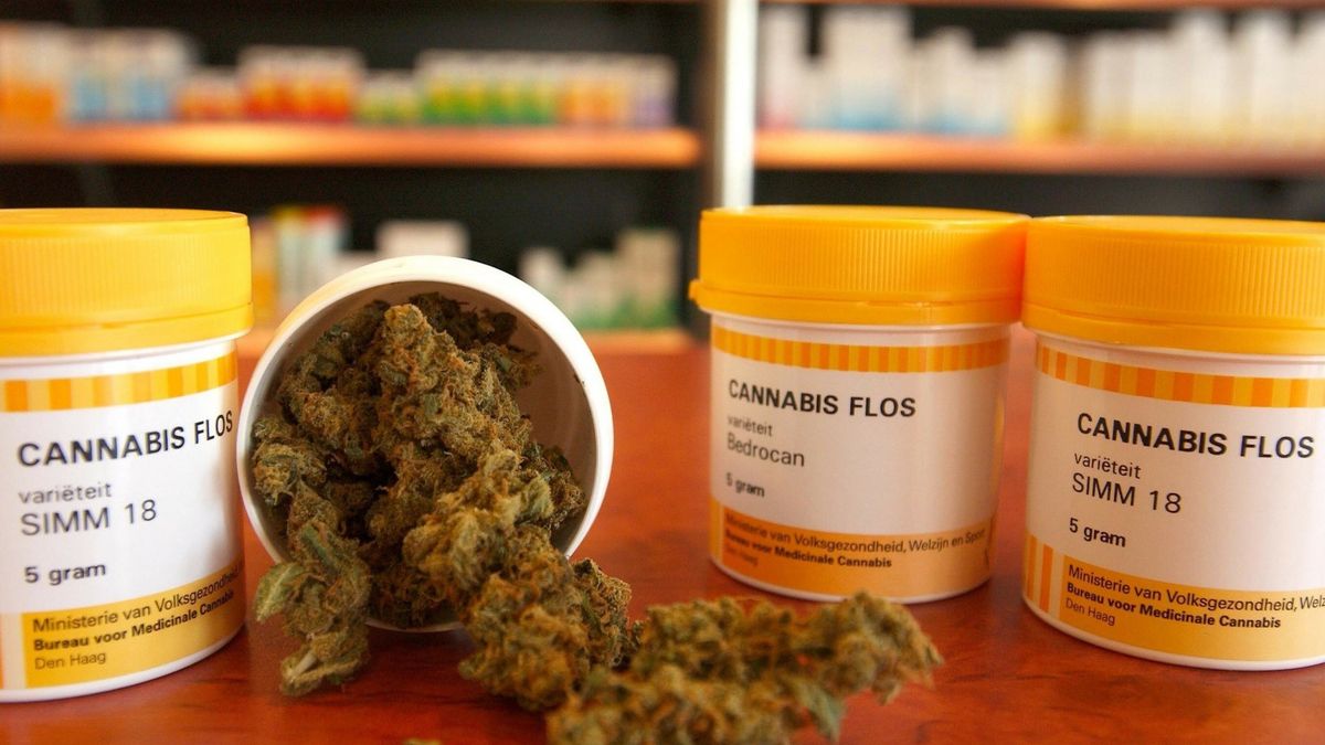 Medyczna marihuana to wciąż towar deficytowy