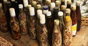 Wakacje z pieprzykiem? Poznaj najciekawsze afrodyzjaki z różnych stron świata