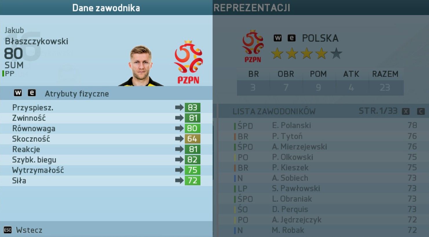 Obraz