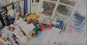 Pijana kobieta wjechała samochodem do sklepu po…flaszkę