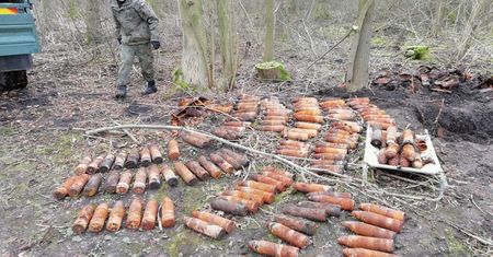 Dolny Śląsk. Podczas wycinki drzew znaleziono 41 skrzyń z rakietami