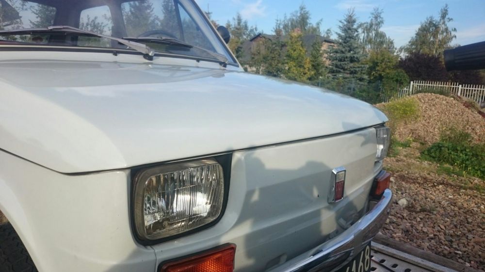 Maluch za 100 tysięcy złotych